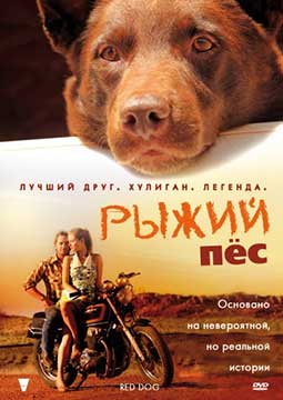 Рыжий пес (2011) Red Dog