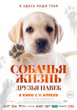 Собачья жизнь: Друзья навек (2023) Zai jian, Li Kele